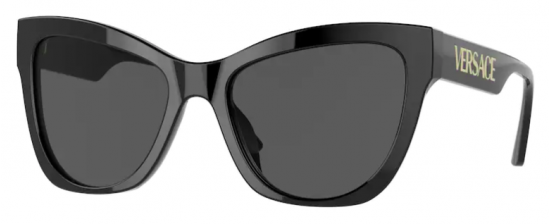 Greca Sunglasses Black | Versace US